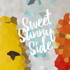 TOFUNK - primo singolo per Sweet Sunny Side - OUT NOW.